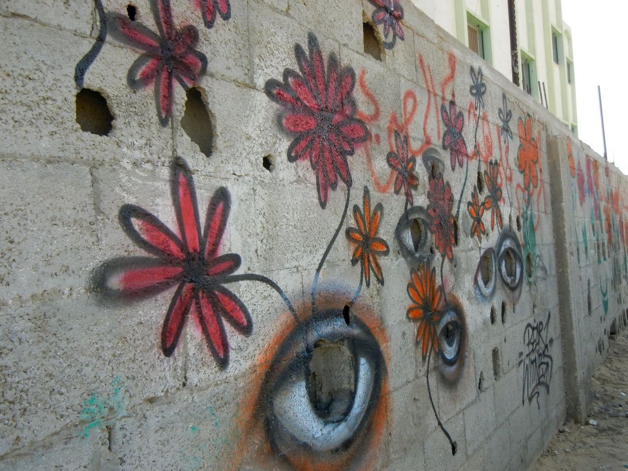 Roses Grow from Concrete in Gaza